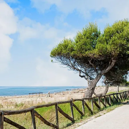 Equipped In A Seafront